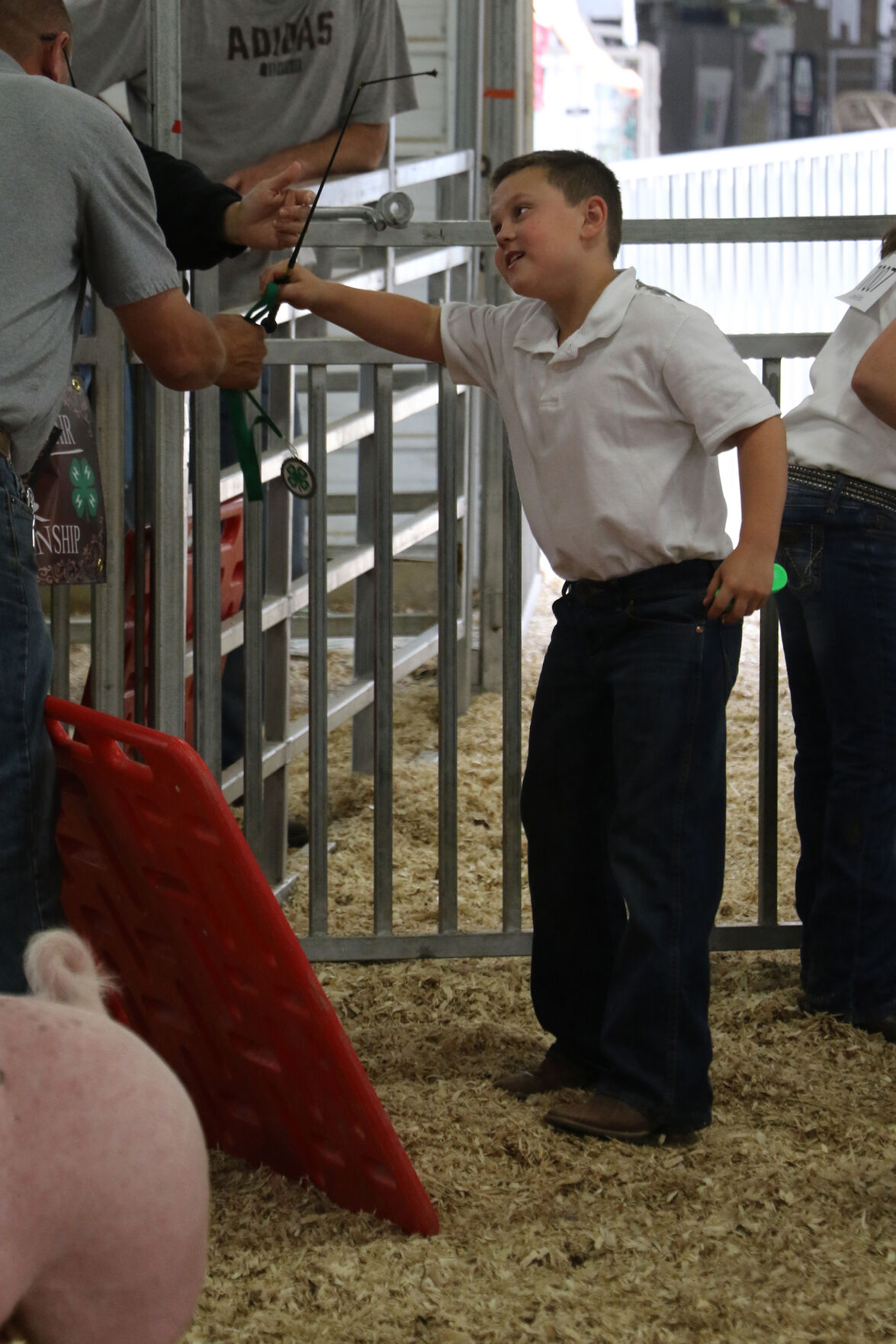 PHOTOS: Pig Showmanship